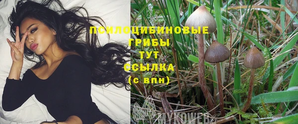 соль курить ск Алексеевка