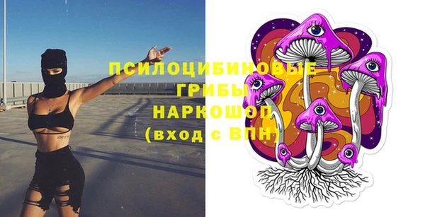 соль курить ск Алексеевка