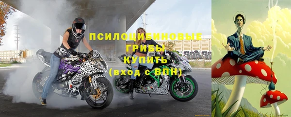соль курить ск Алексеевка