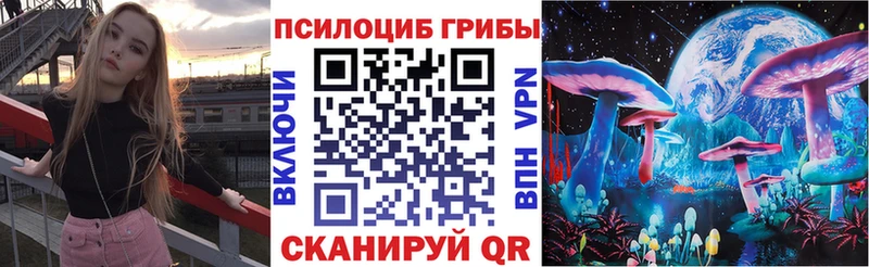 mega ссылка  Задонск  Псилоцибиновые грибы Psilocybe 